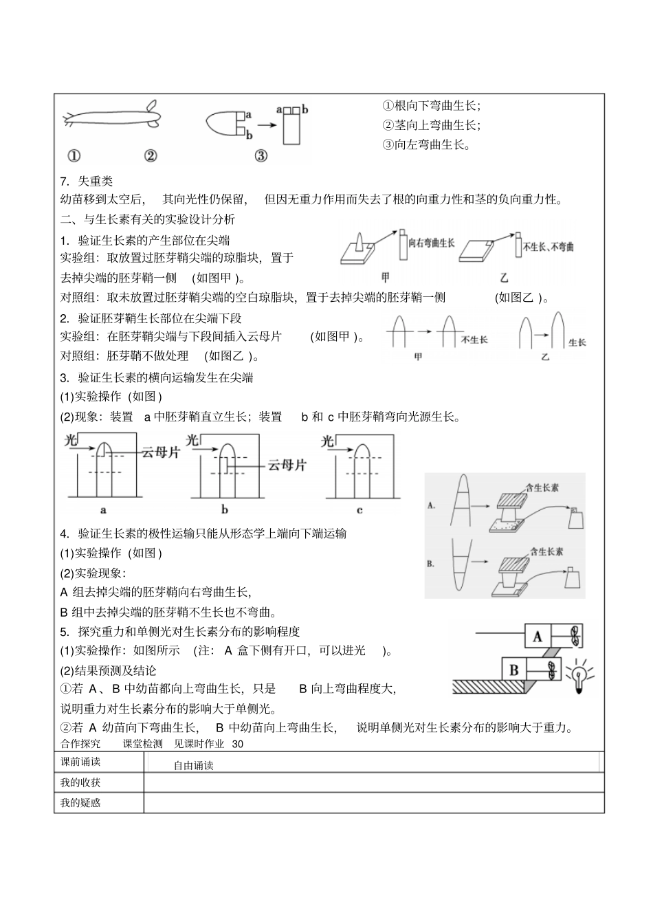 生长素的试验方法与设计_第2页