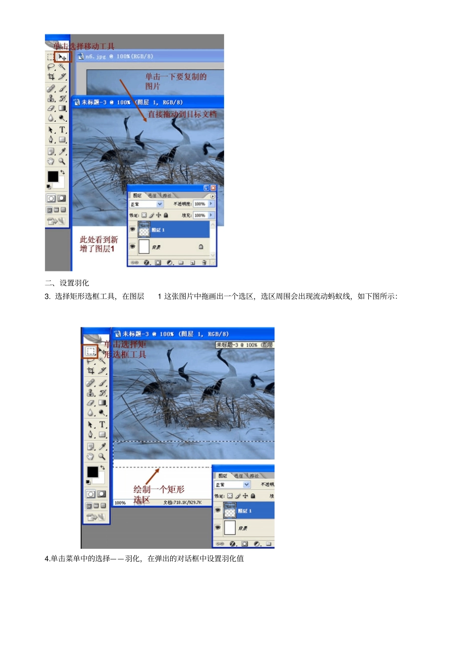 用Photoshop制作简单书籍封面_第2页