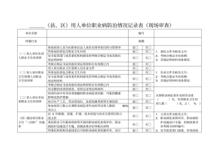 用人单位职业病防治情况记录表现场审查