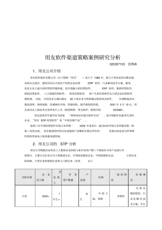 用友软件渠道策略案例分