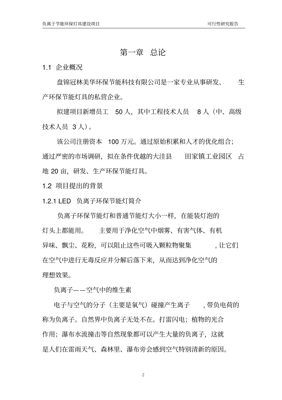 田家镇负离子环保节能灯具项目可行性研究报告_第2页