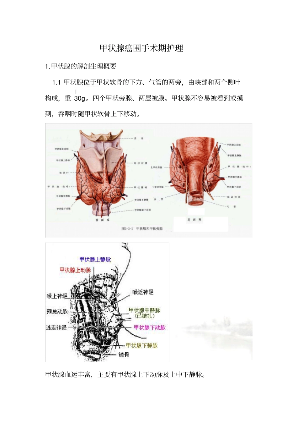 甲状腺癌围手术期护理_第2页