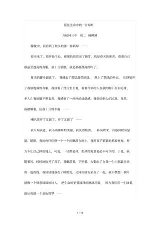 留住生命中的一片绿叶