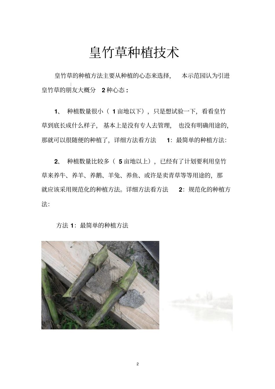 皇竹草种植技术_第2页