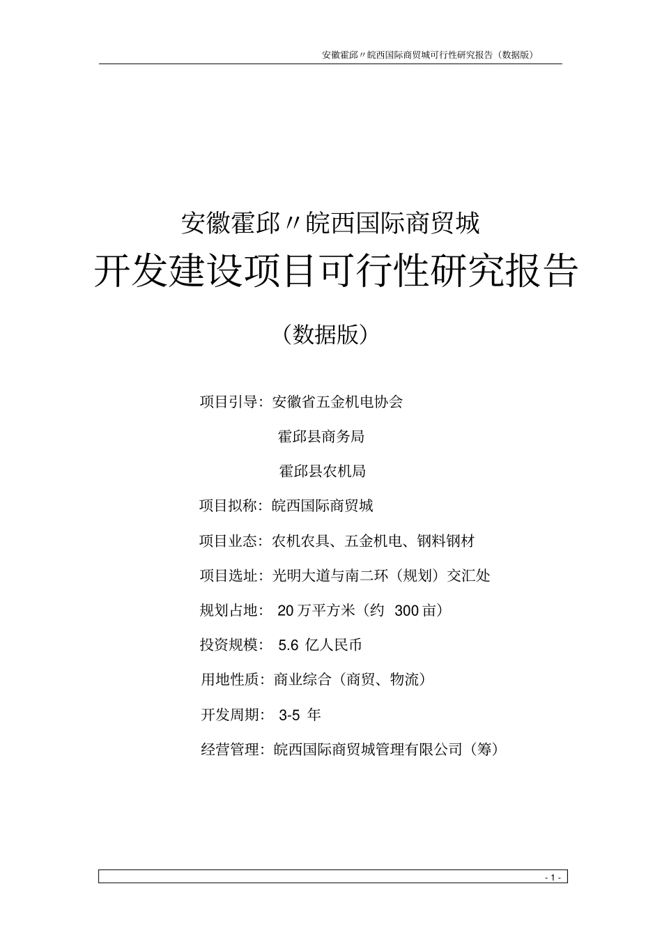 皖西国际商贸城项目可行性研究报告_第1页