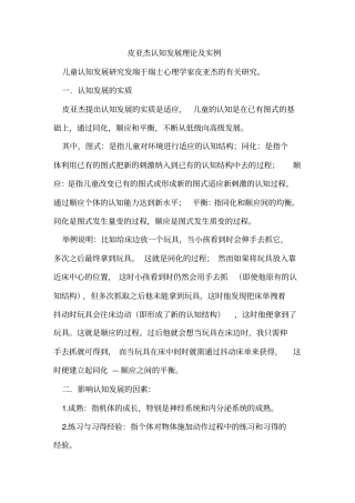 皮亚杰认知发展理论及实例