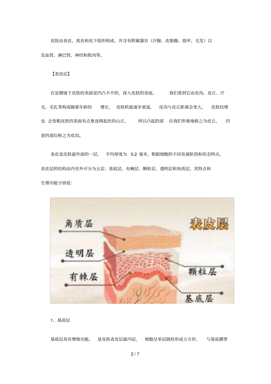 皮肤的结构和生理功能_第2页
