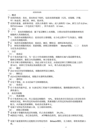 皮肤组织的正常结构及细胞功能