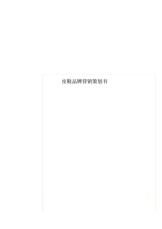 皮鞋品牌营销策划书