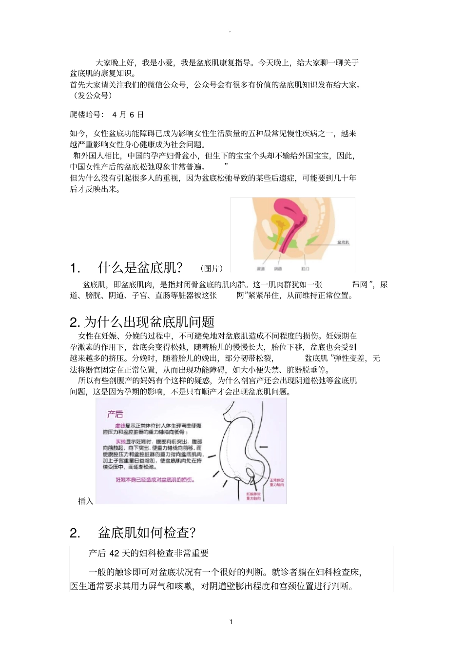 盆底肌康复知识讲座_第1页