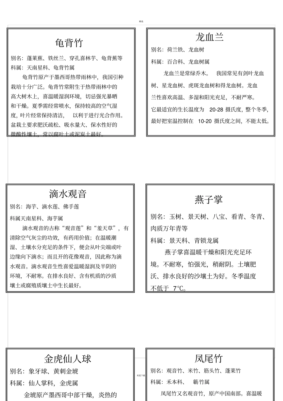 盆栽花木植物标签_第2页