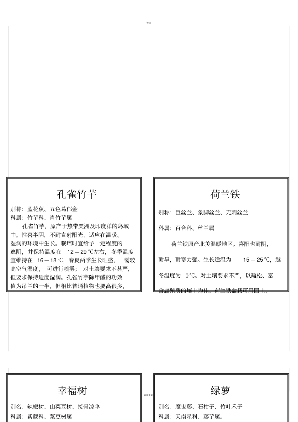 盆栽花木植物标签_第3页