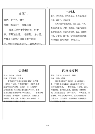 盆栽花木植物标签
