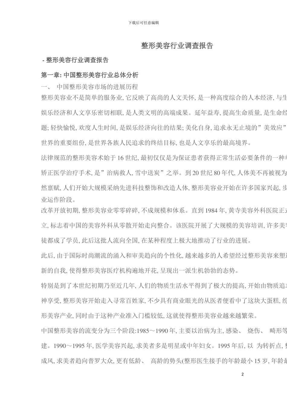 整形美容行业调查报告模板_第2页