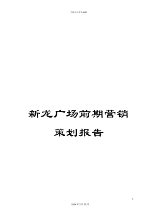 新龙广场前期营销策划报告