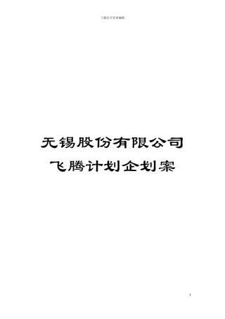 无锡股份有限公司飞腾计划企划案模板