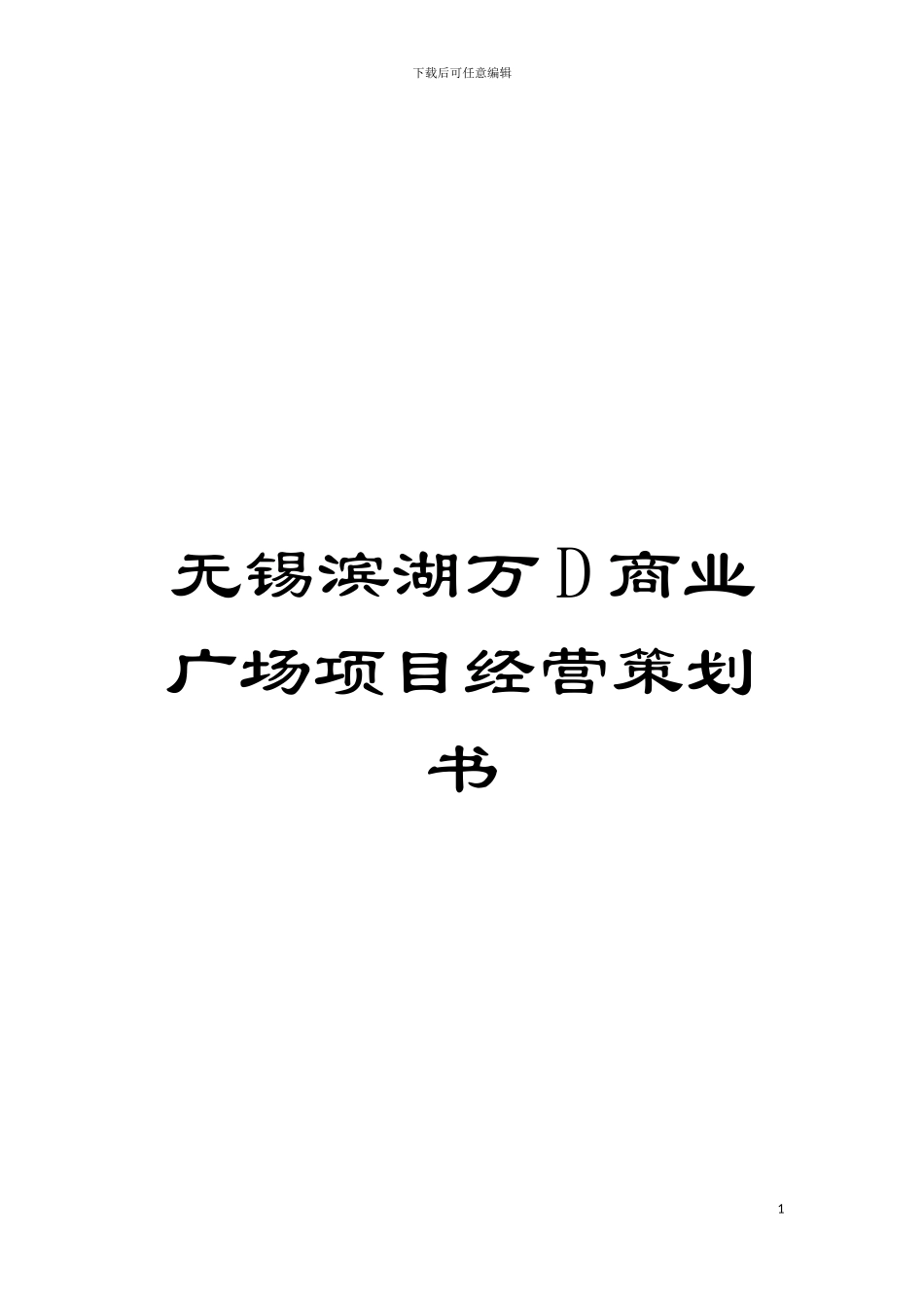 无锡滨湖万D商业广场项目经营策划书模板_第1页