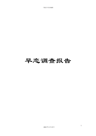 早恋调查报告模板