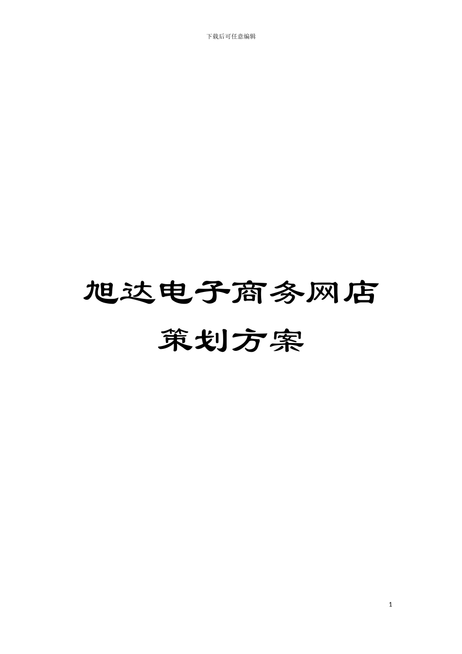 旭达电子商务网店策划方案模板_第1页