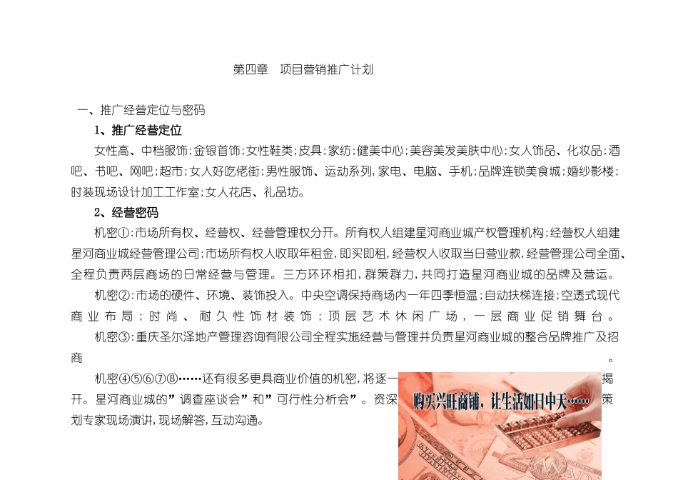 星河商业城项目营销企划方案下._第2页