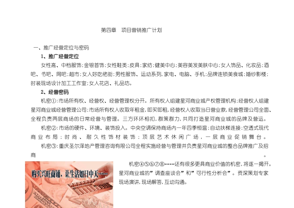 星河商业城项目营销企划方案下_第2页