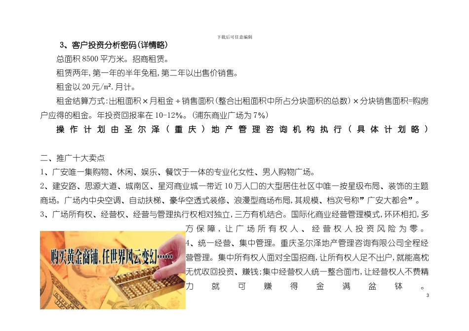 星河商业城项目营销企划方案下_第3页