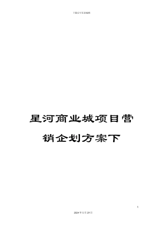 星河商业城项目营销企划方案下