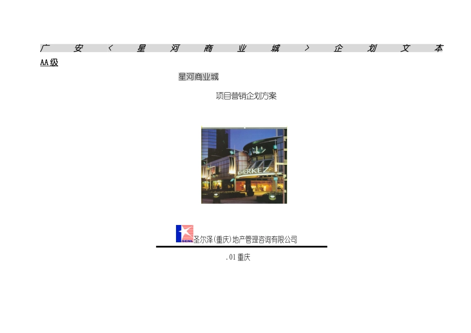 星河商业城项目营销企划方案上_第2页
