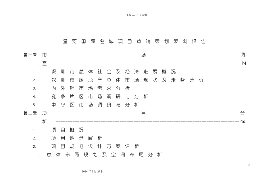 星河-国际名城营销策划报告_第2页