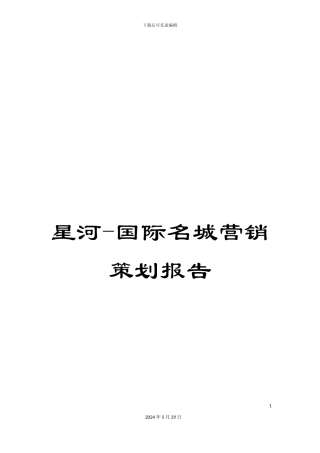 星河-国际名城营销策划报告