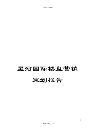星河国际楼盘营销策划报告