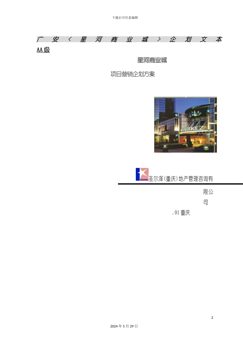 星河商业城地产项目营销企划方案_第2页