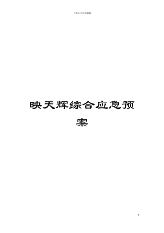 映天辉综合应急预案模板
