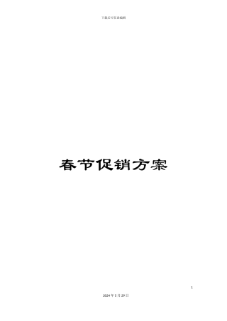 春节促销方案