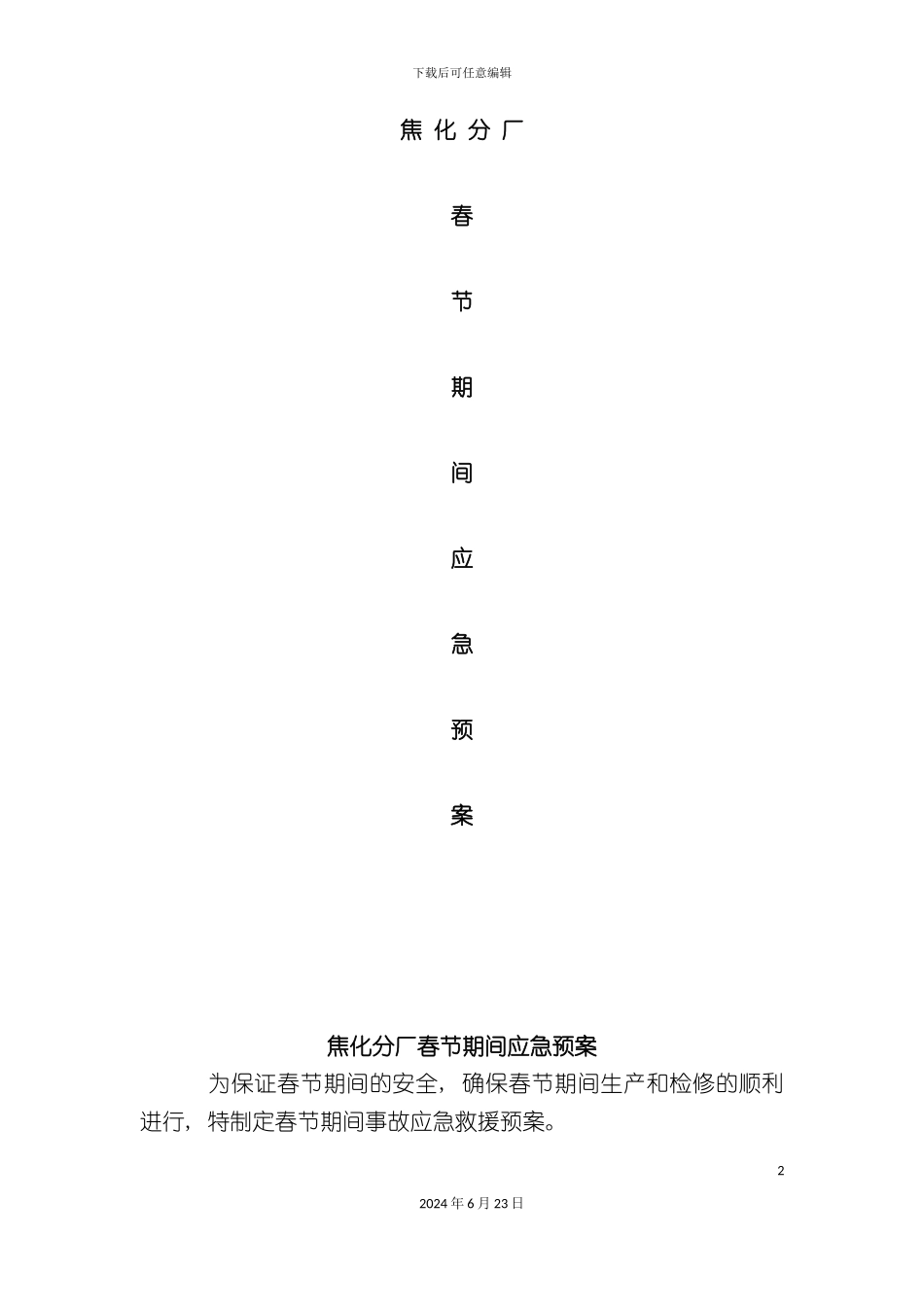 春节应急预案_第2页