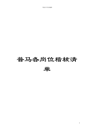 普马各岗位稽核清单模板