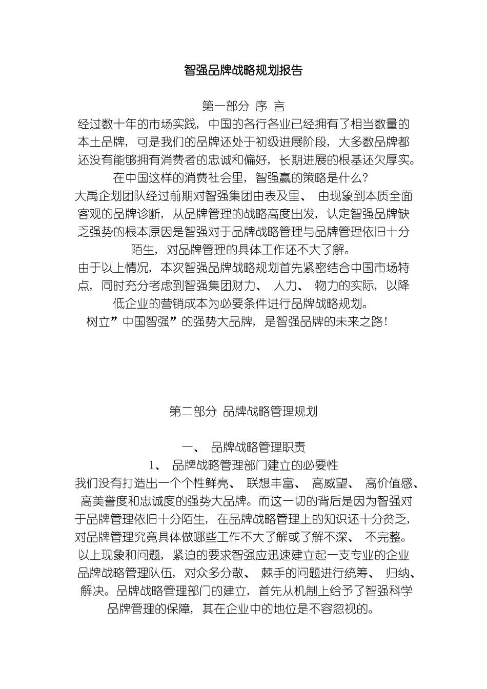 智强品牌战略规划报告模板_第2页