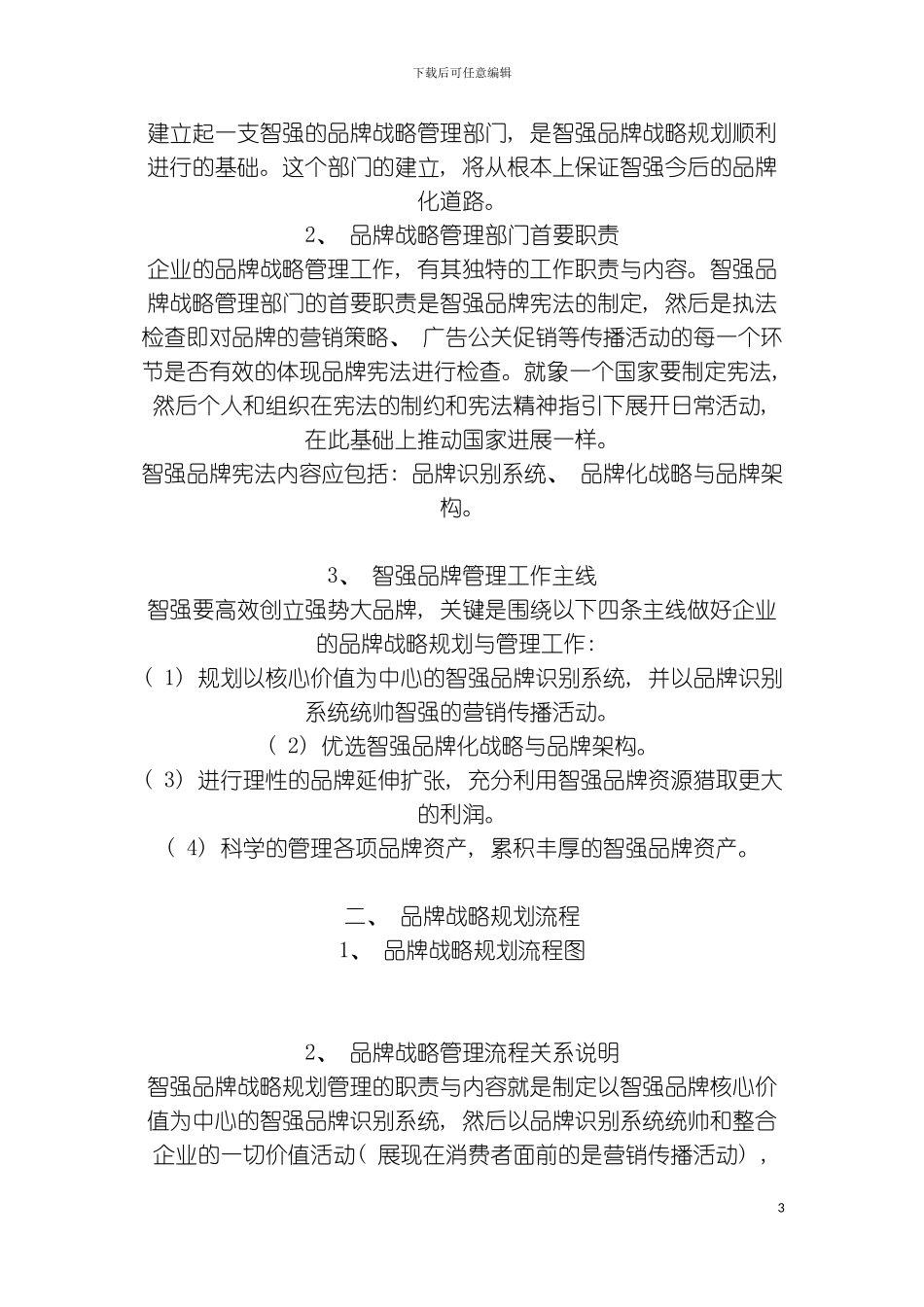 智强品牌战略规划报告模板_第3页