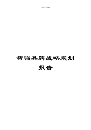 智强品牌战略规划报告模板