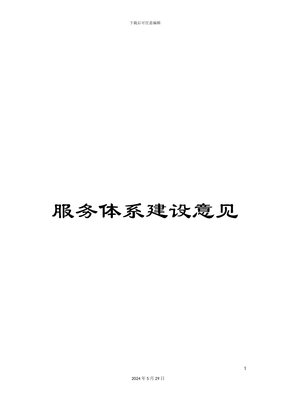 服务体系建设意见_第1页