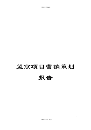 望京项目营销策划报告