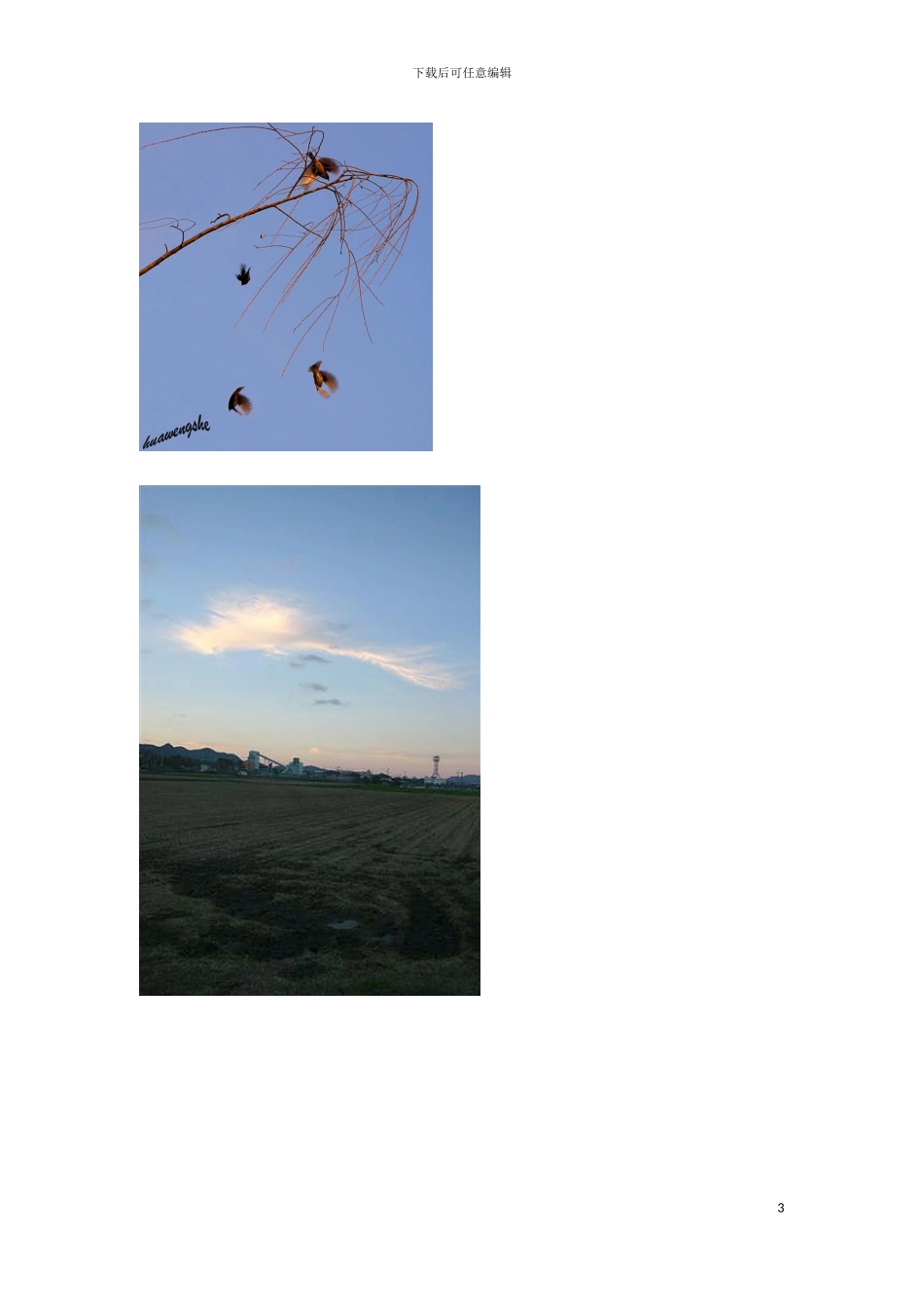 期中创作企划书模板_第3页