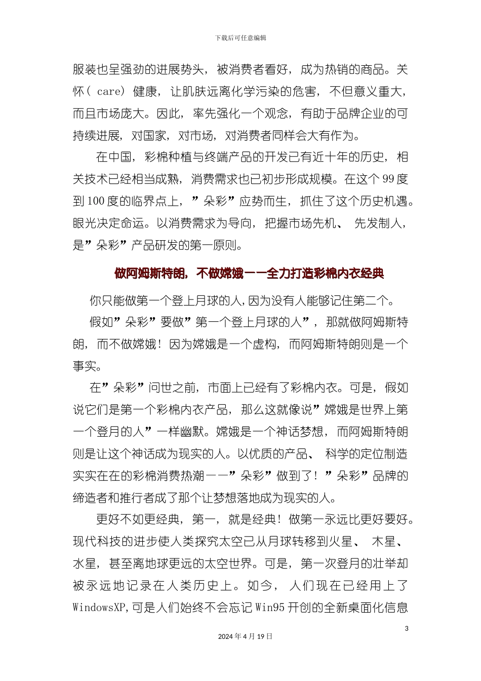 朵彩广告促销实战完全手册精华模板_第3页