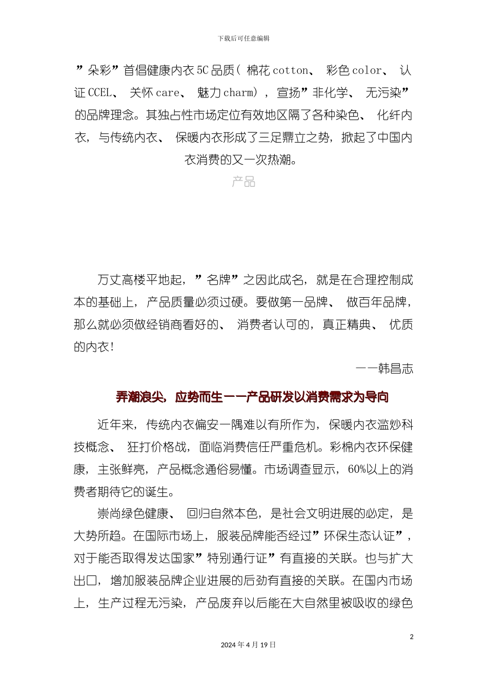 朵彩广告促销实战完全手册模板_第2页