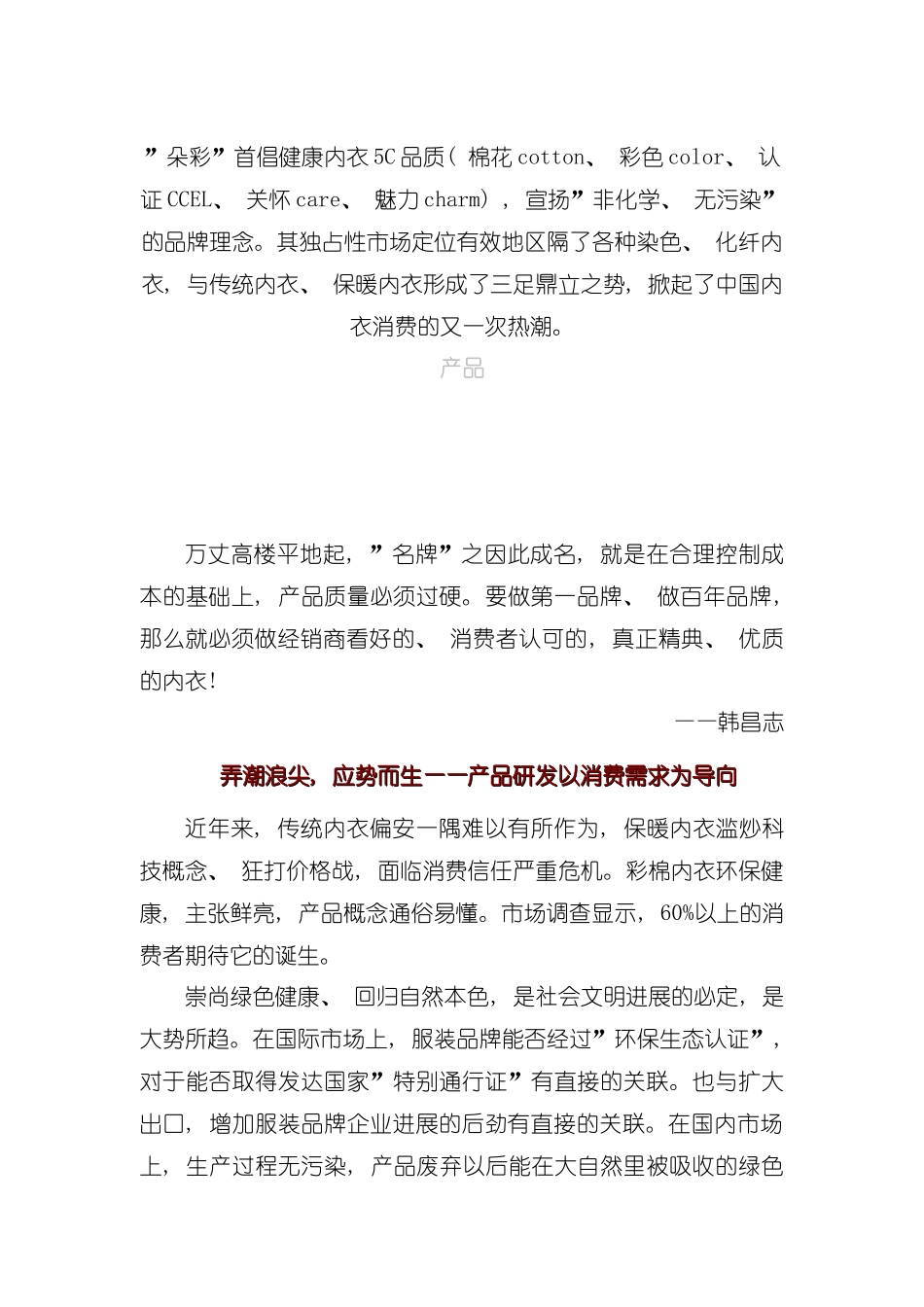 朵彩广告促销实战手册模板_第2页