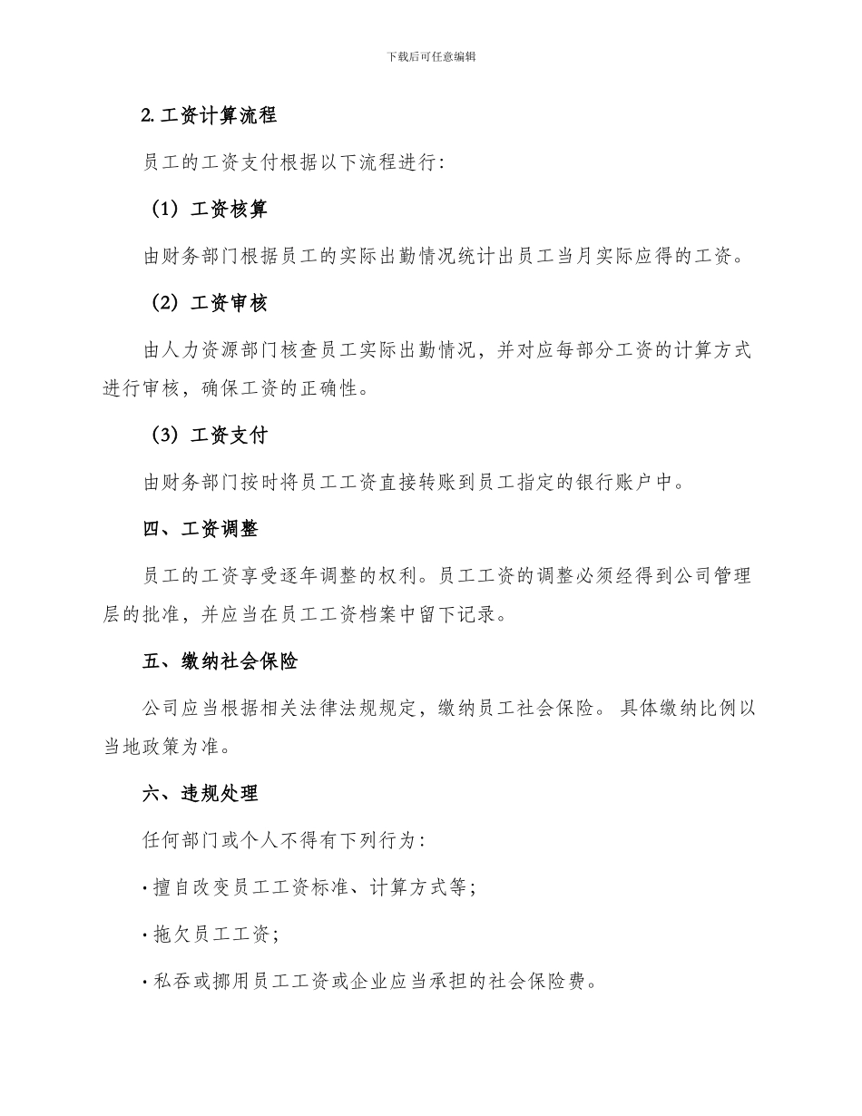 某某公司工资支付管理办法_第2页