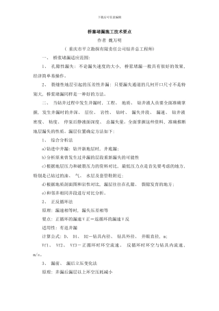 桥塞堵漏施工技术要点样本