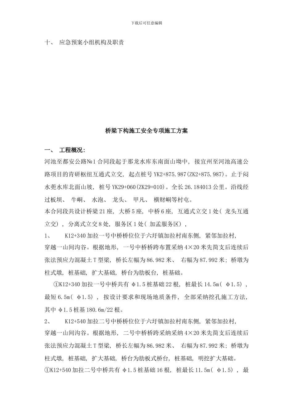 桥梁下构安全方案样本_第2页