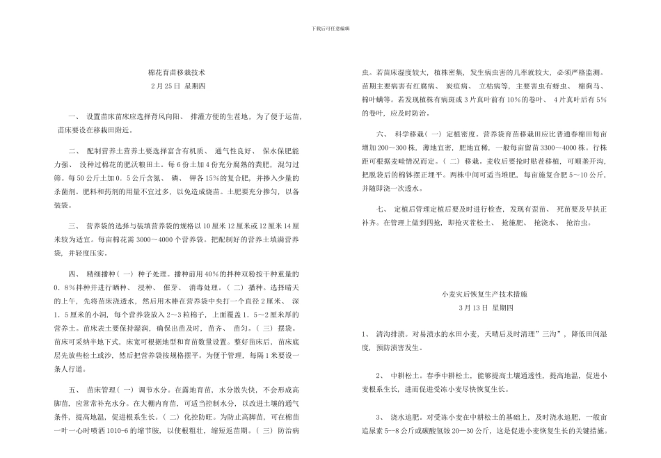 棉花育苗移栽技术样本_第1页