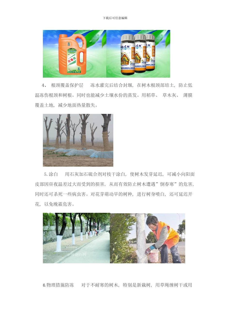 植物防冻常见措施样本_第2页